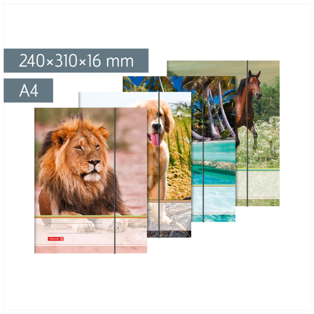brunnen-sammelmappe-a4-tiere-gummizug-746654BC2.jpg