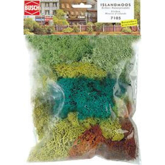 Busch Islandmoos