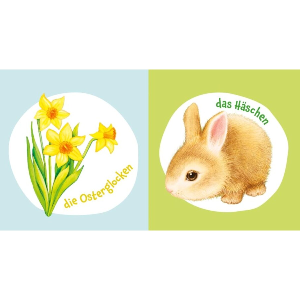 Carlsen Verlag Baby Pixi (unkaputtbar) 147: Mein liebstes Frühlingsbuch