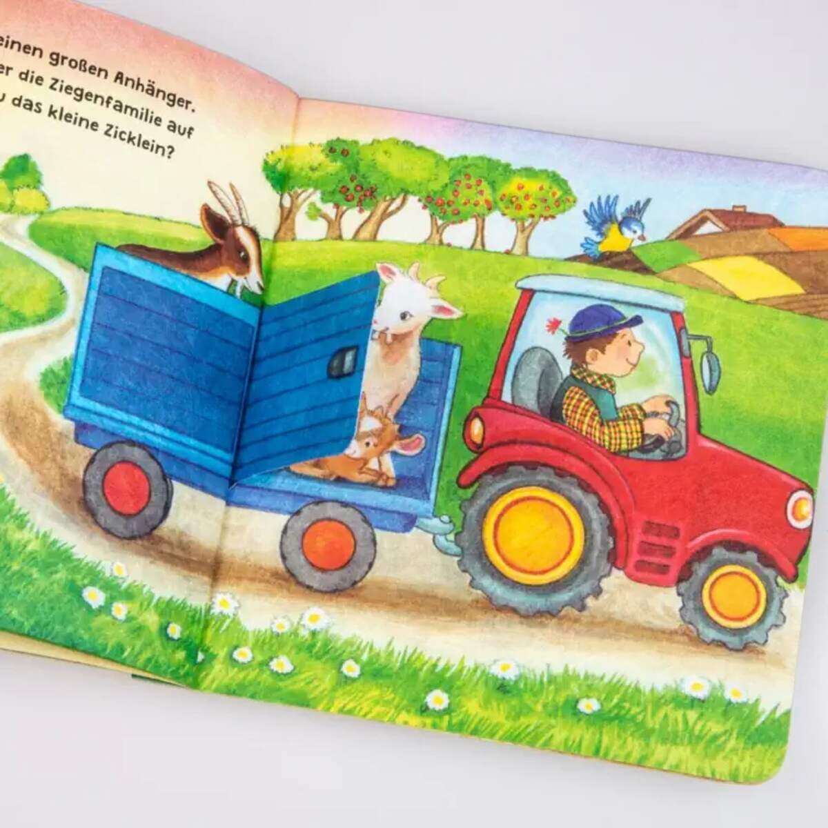 Carlsen Verlag Baby Pixi (unkaputtbar) 69: Mein Lieblingsbuch vom Bauernhof