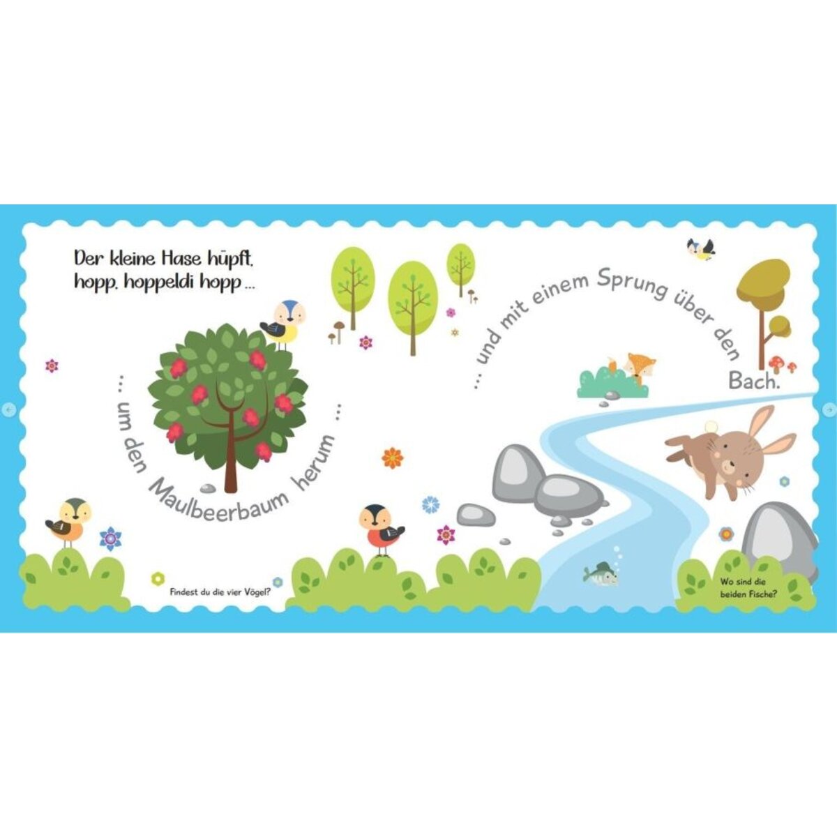 Carlsen Verlag Wohin hüpfst du, kleiner Hoppelhase?