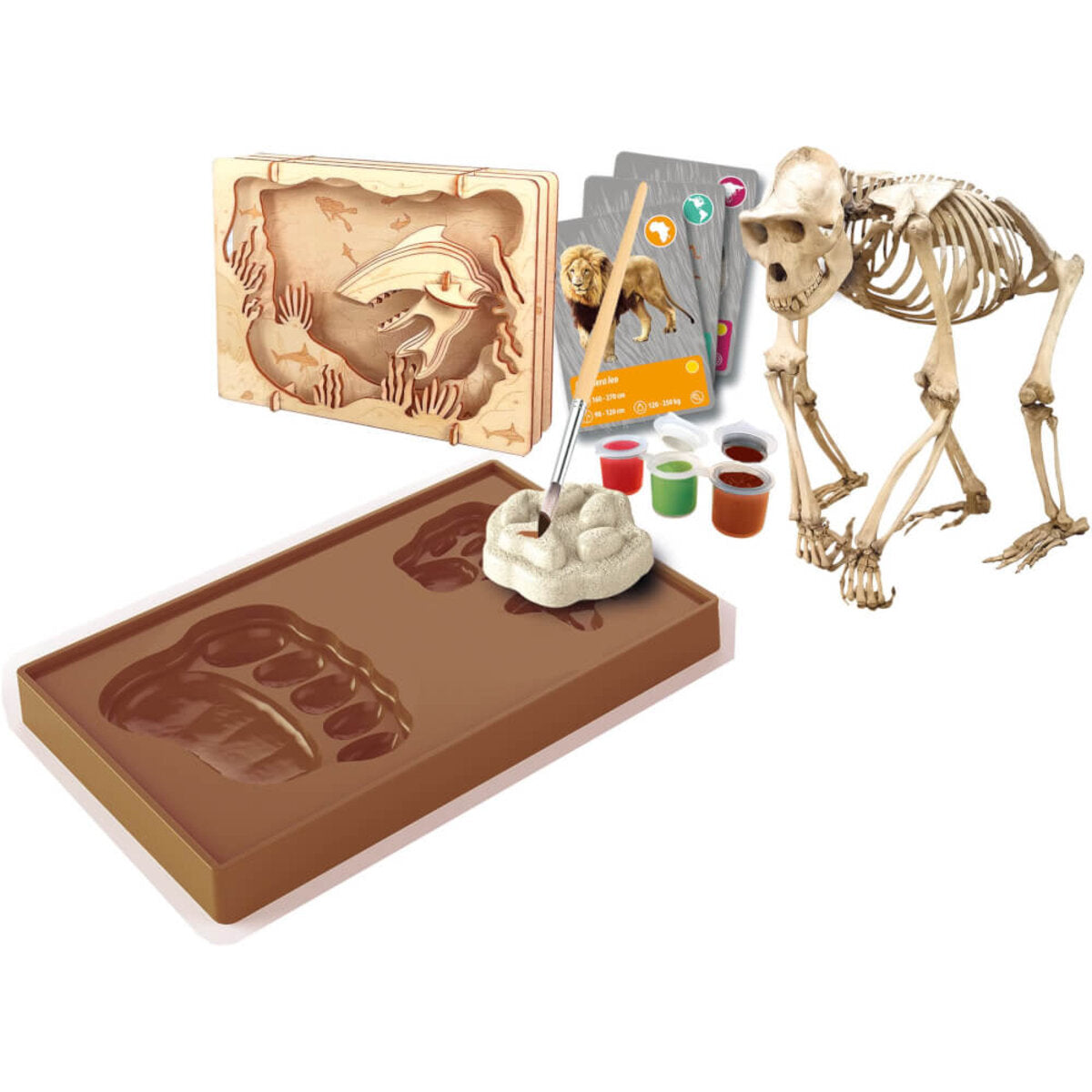 clementoni-entdeckungs-set-tiere-auf-26E5C49A2.jpg