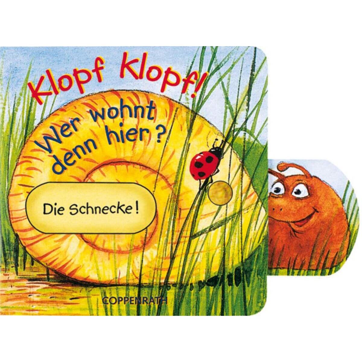 coppenrath-mini-pappe-mit-schiebern-FDA823301.jpg