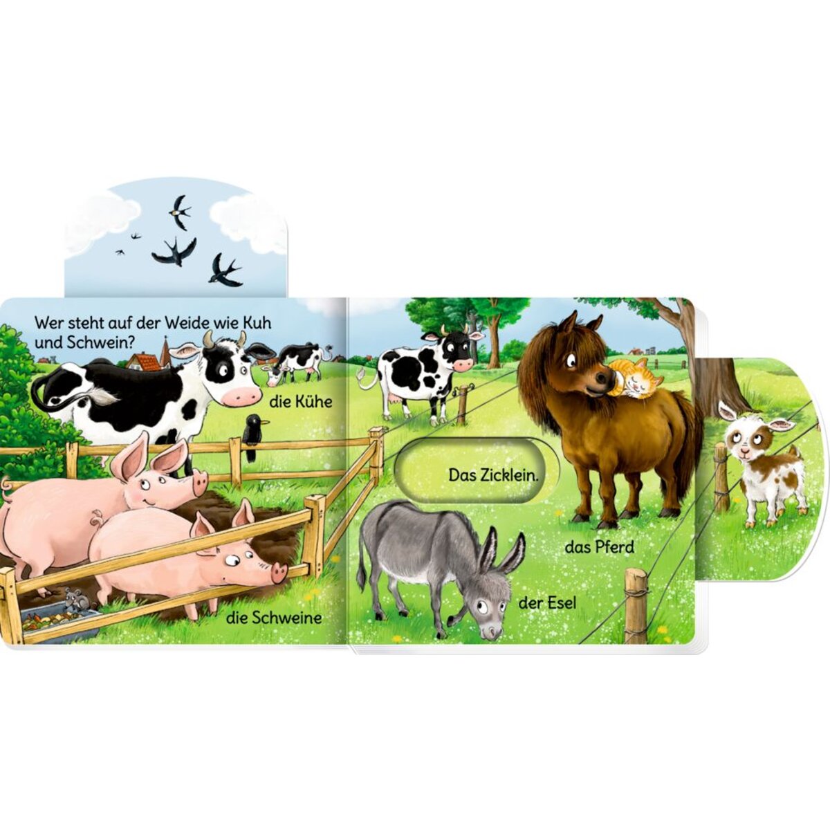 coppenrath-verlag-65240-minifanten-49-8BCC35C34.jpg