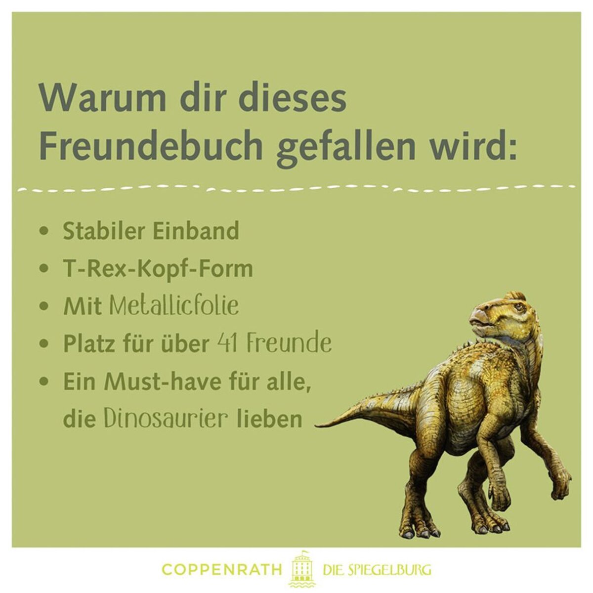 coppenrath-verlag-freundebuch-meine-freunde-BC228DAE5.jpg