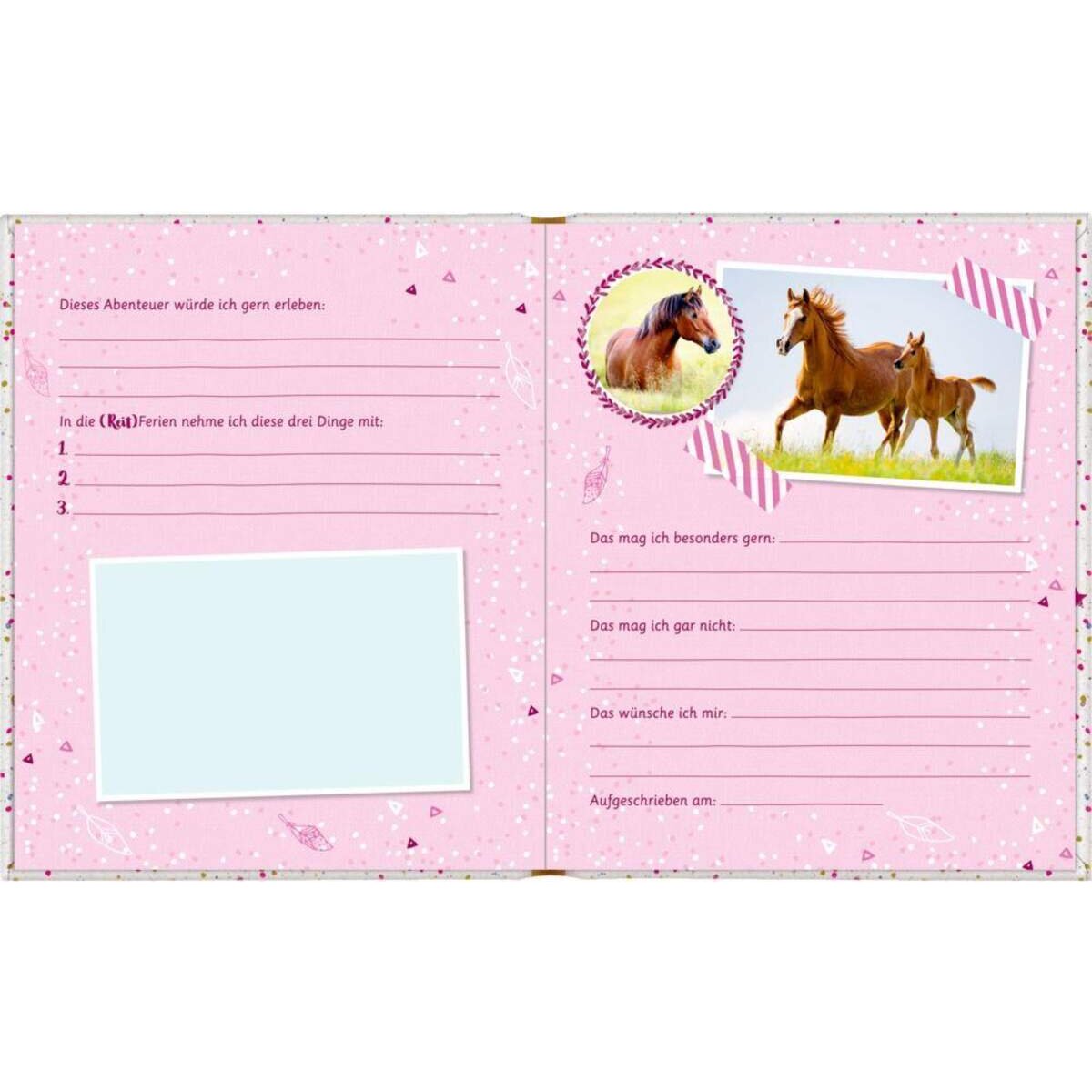 coppenrath-verlag-freundebuch-pferdefreunde--8FF2B02B2.jpg
