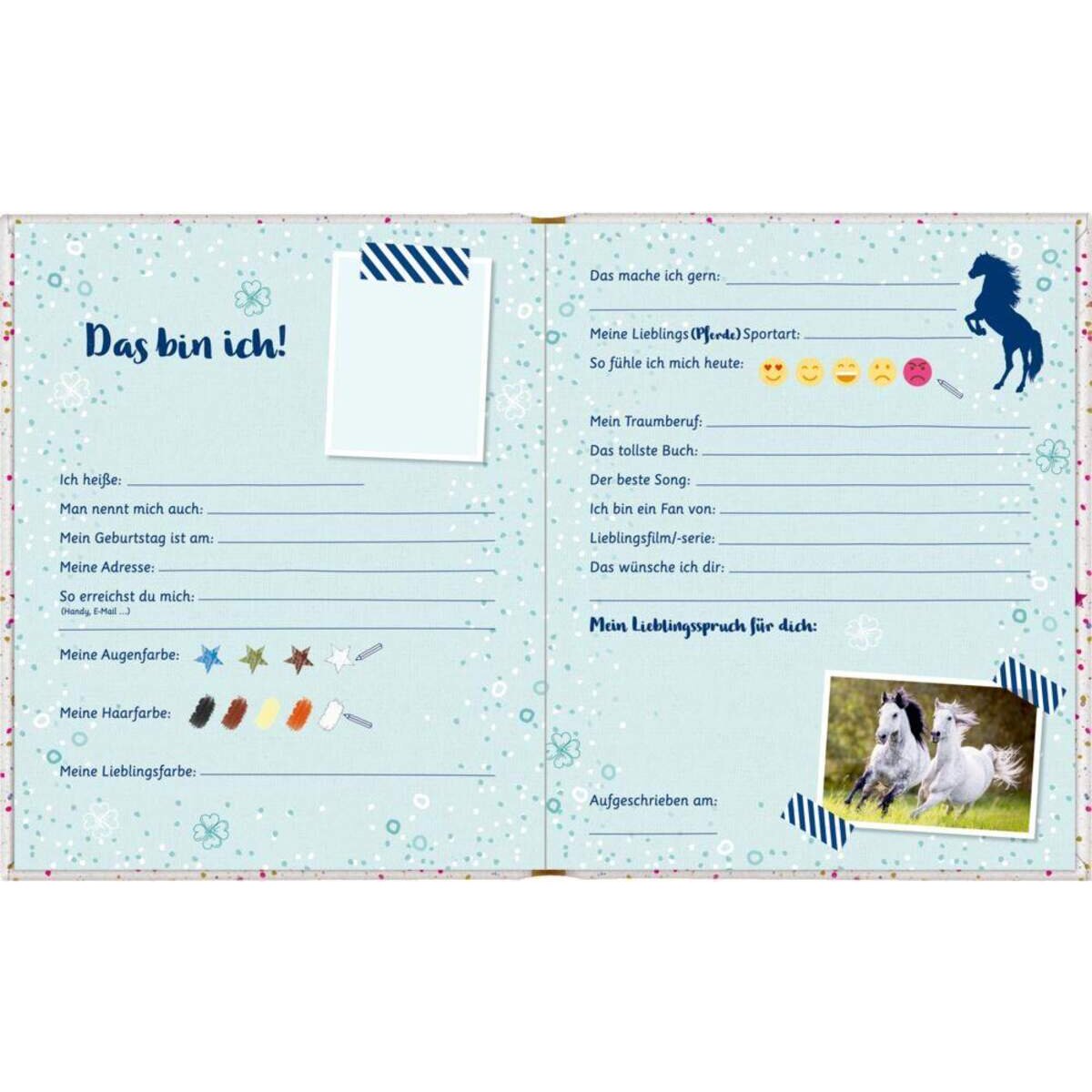 coppenrath-verlag-freundebuch-pferdefreunde--8FF2B02B3.jpg