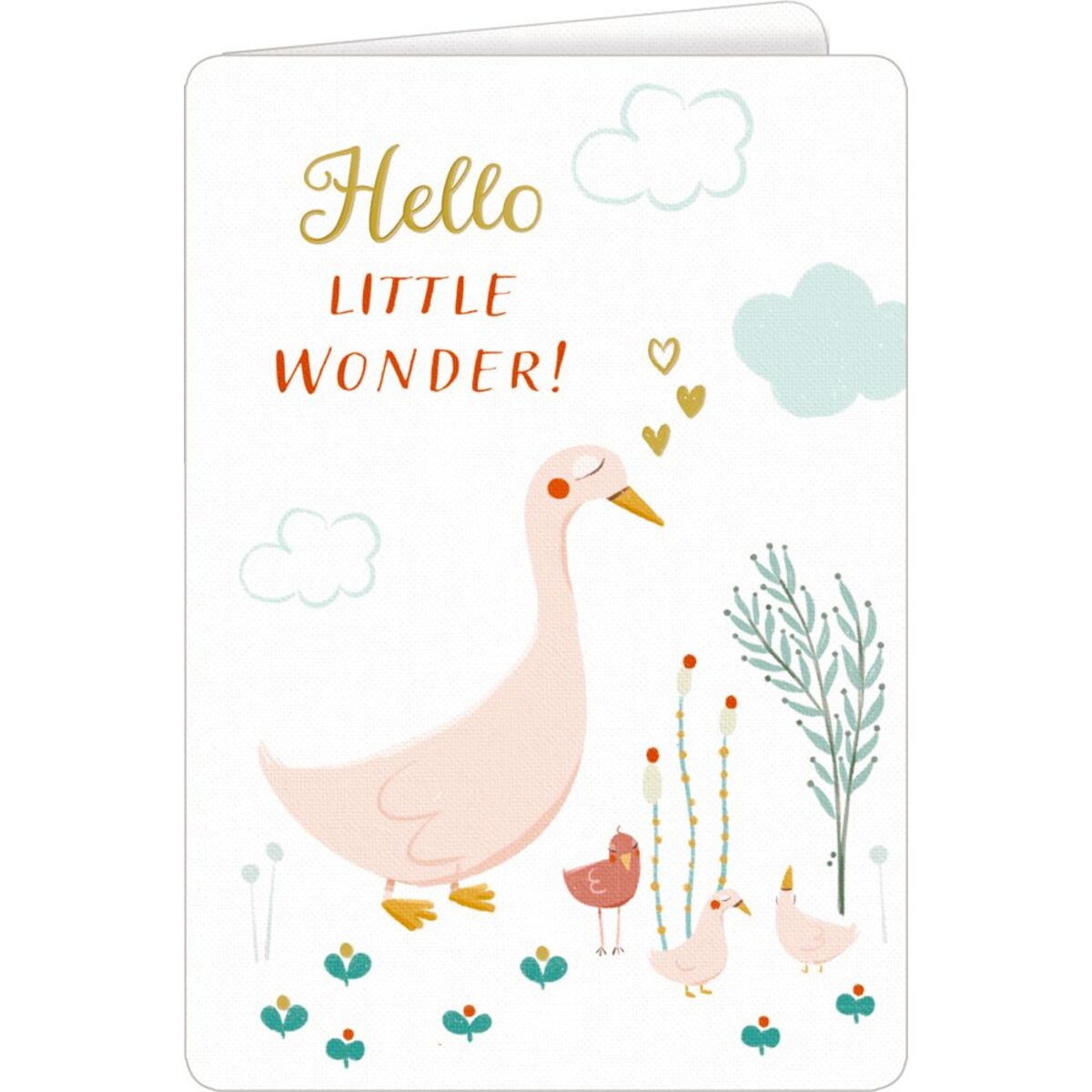 Coppenrath Verlag Grußkarte - Hello Little Wonder!