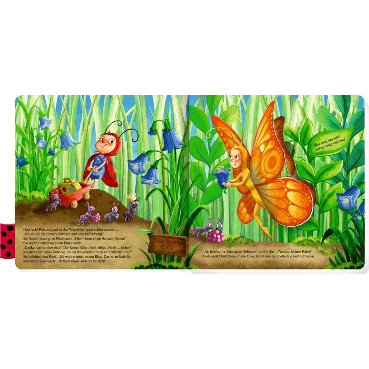 Coppenrath Verlag Ich bin der kleine Käfer Pünktchen