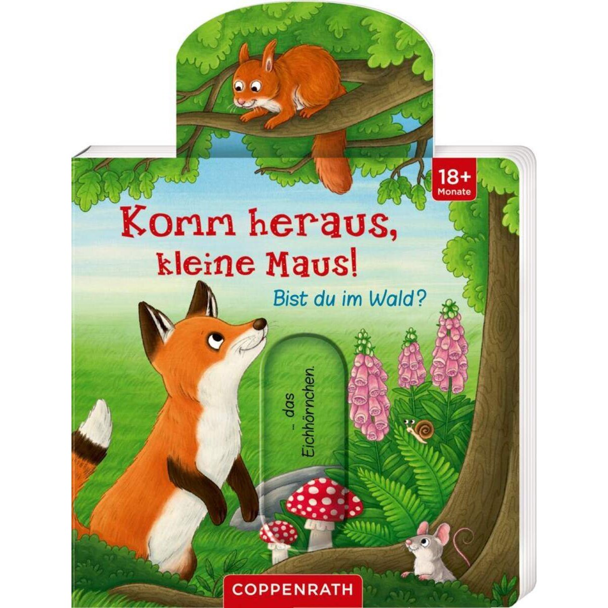 coppenrath-verlag-komm-heraus-kleine-F6734F1A1.jpg