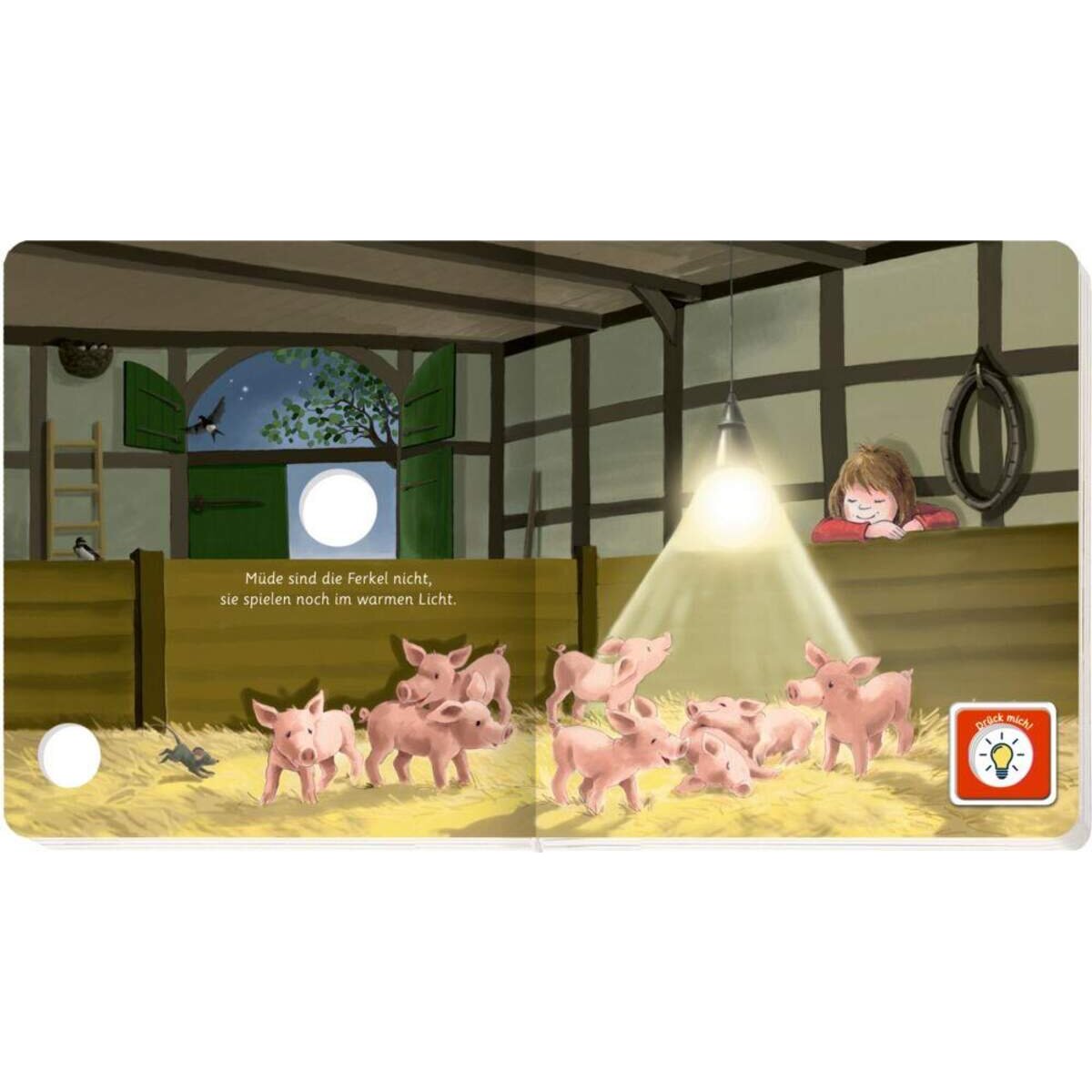 Coppenrath Verlag Licht an, Licht aus Im Bauernhaus