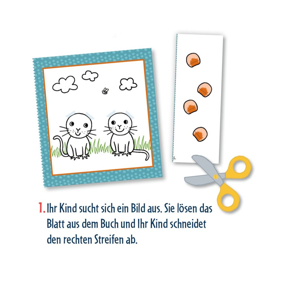 Coppenrath Verlag Mein 1. Pop-up-Bastelbuch: Blumenwiese (Mini-Künstler)