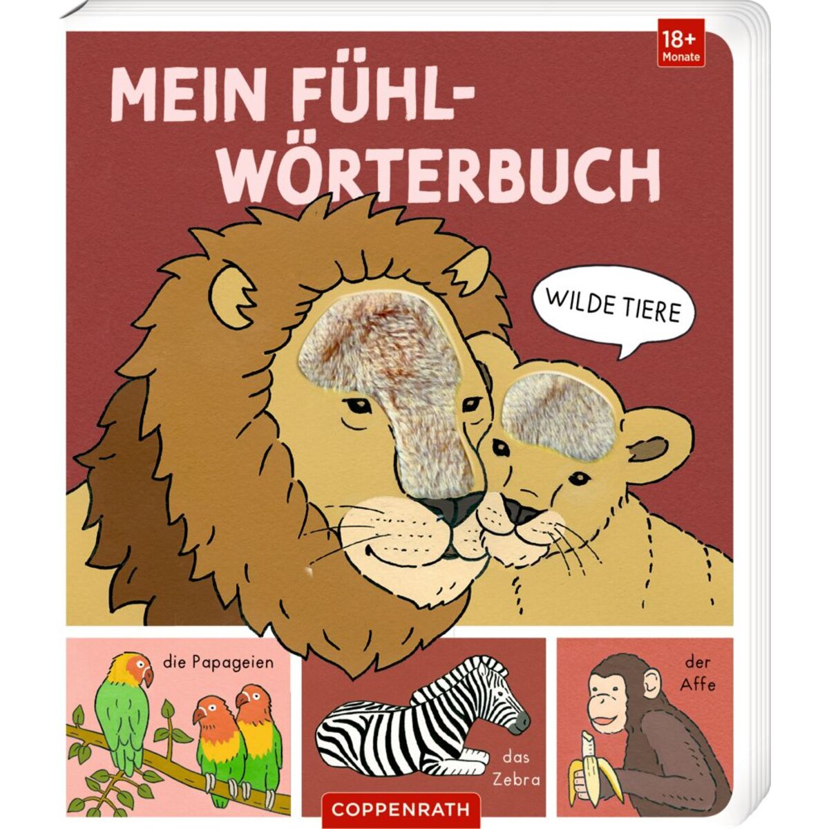 coppenrath-verlag-mein-fuehl-woerterbuch-7283A2DE1.jpg