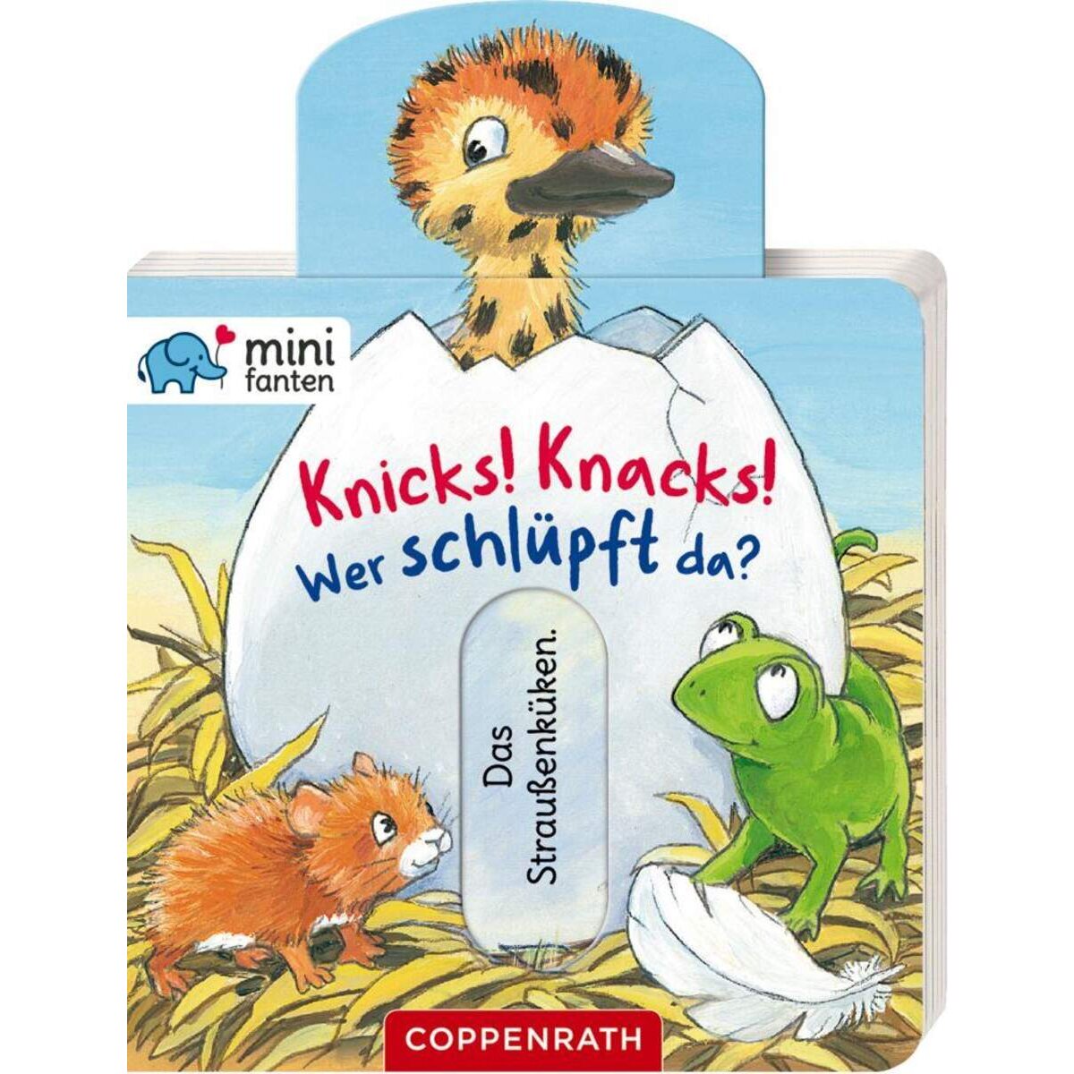 coppenrath-verlag-minifanten-35-knicks-43AA4B591.jpg