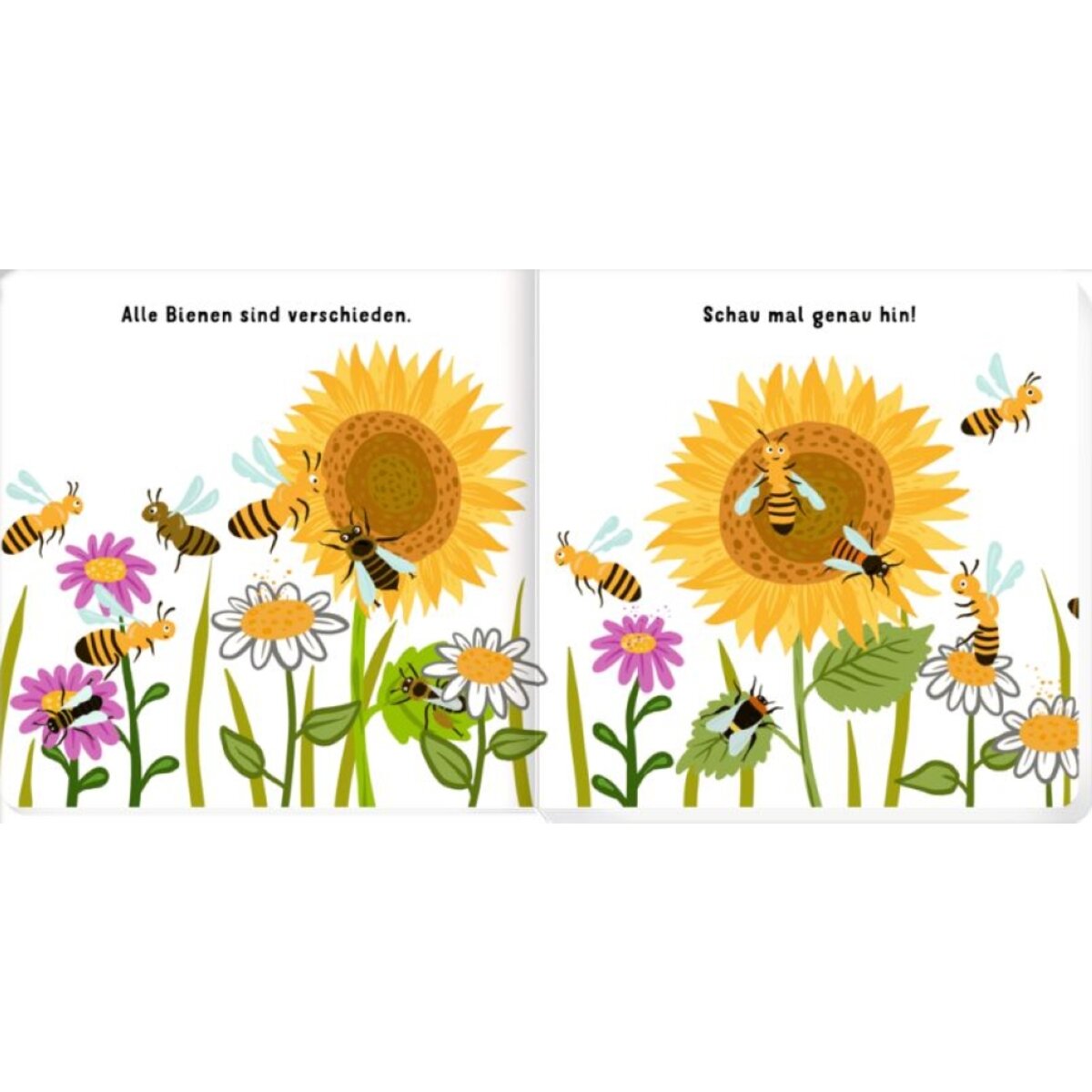 Coppenrath Verlag Unsere Bienenfreunde