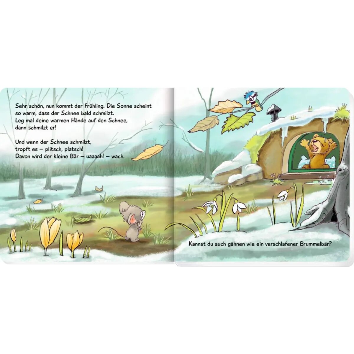 Coppenrath Verlag Was ist los, kleiner Brummelbär?