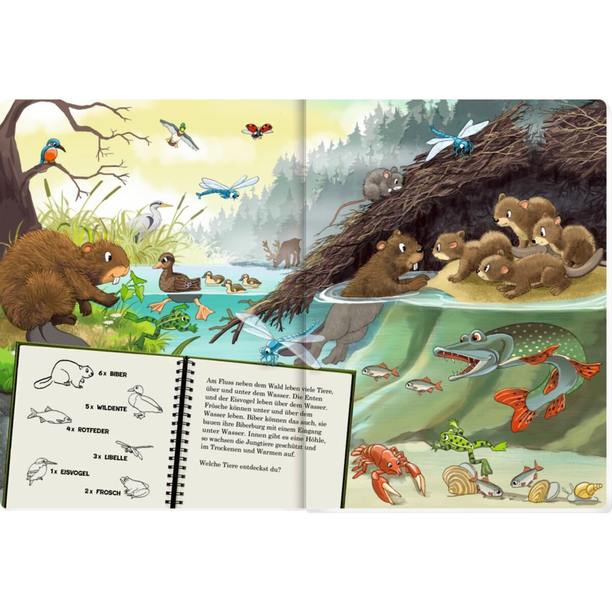 coppenrath-verlag-wimmelsuchbuch-tiere-ueber-6445069A2.jpg