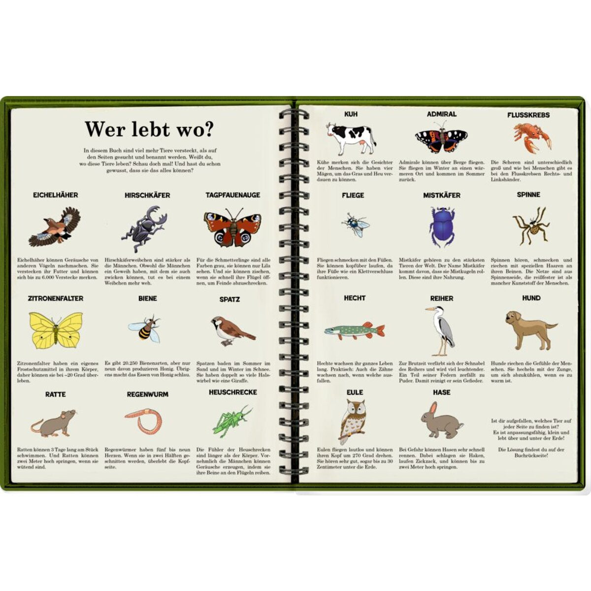 coppenrath-verlag-wimmelsuchbuch-tiere-ueber-6445069A4.jpg
