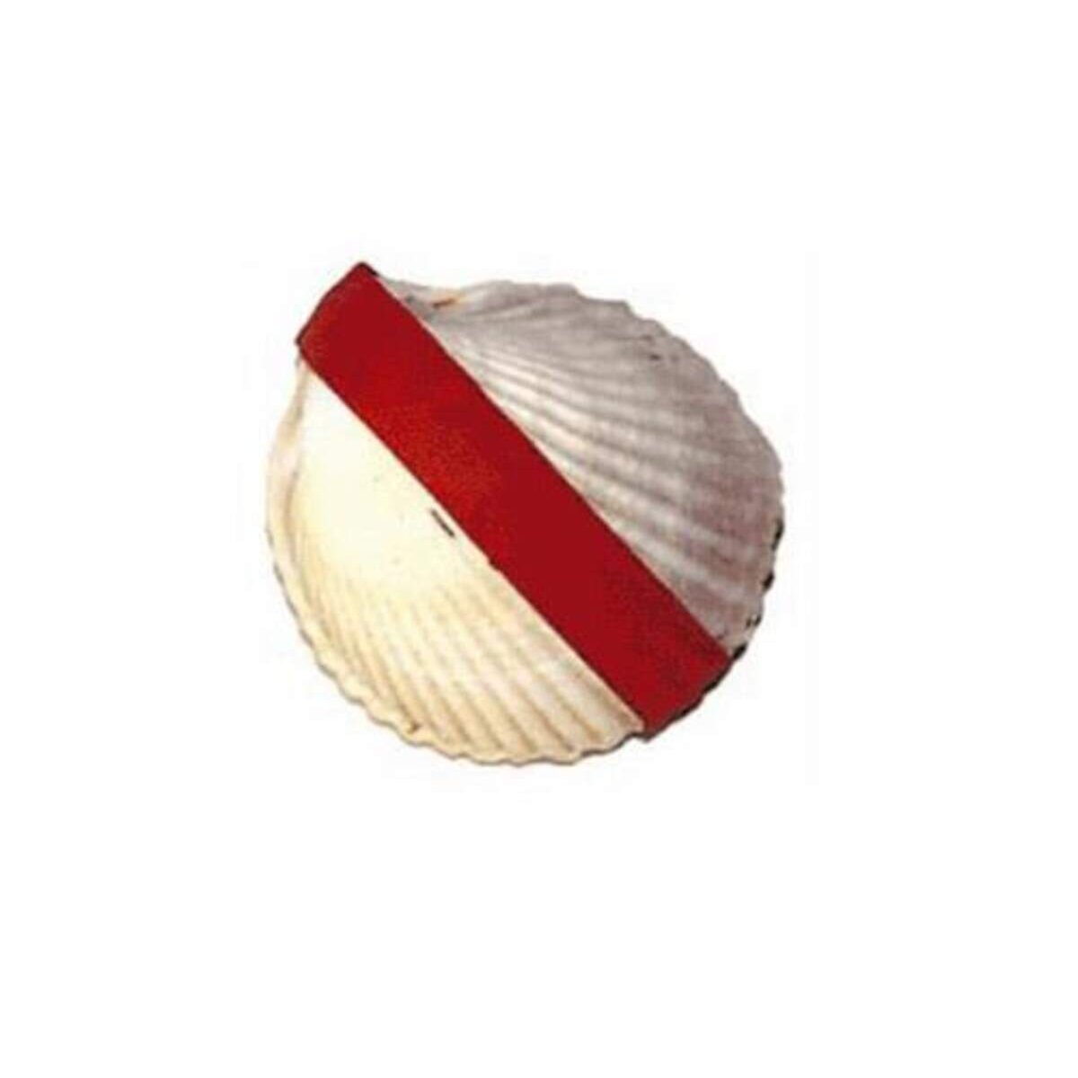 corvus-super-wundermuschel-84DD55922.jpg