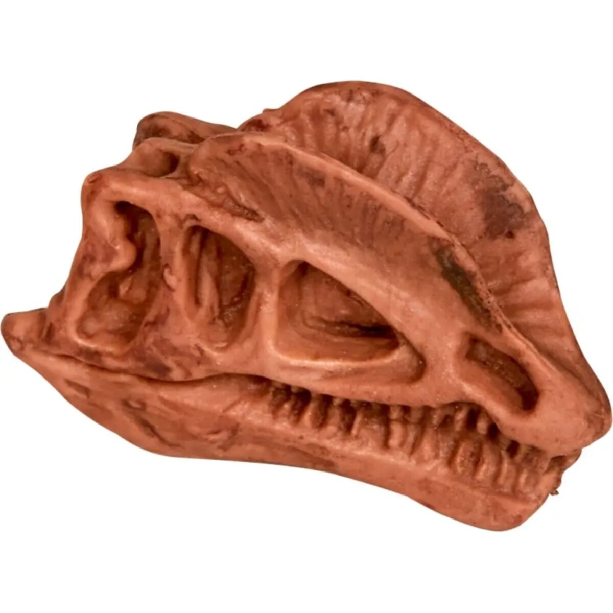 Die Spiegelburg Ausgrabungsset Dinosaurier-Schädel T-Rex World, 1 Stück, 3-fach sortiert