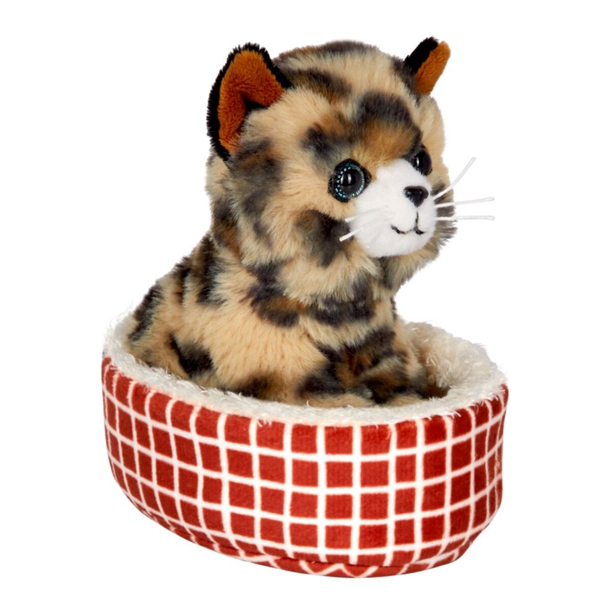 die-spiegelburg-katze-cleo-im-700459891.jpg
