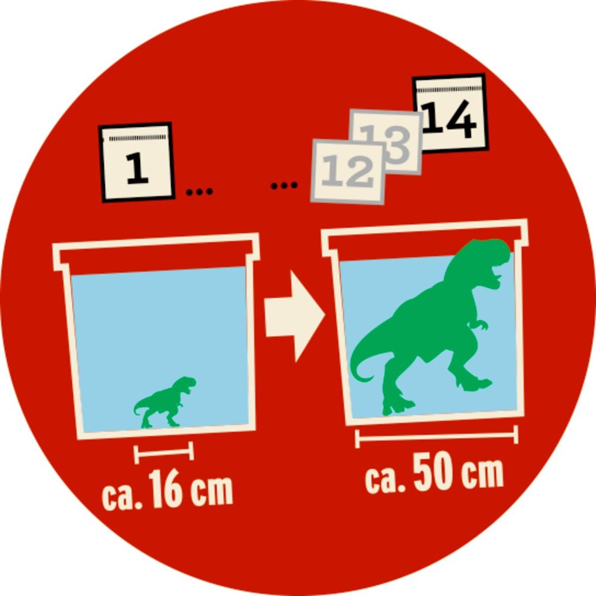 die-spiegelburg-riesen-t-rex-6CDBE2042.jpg