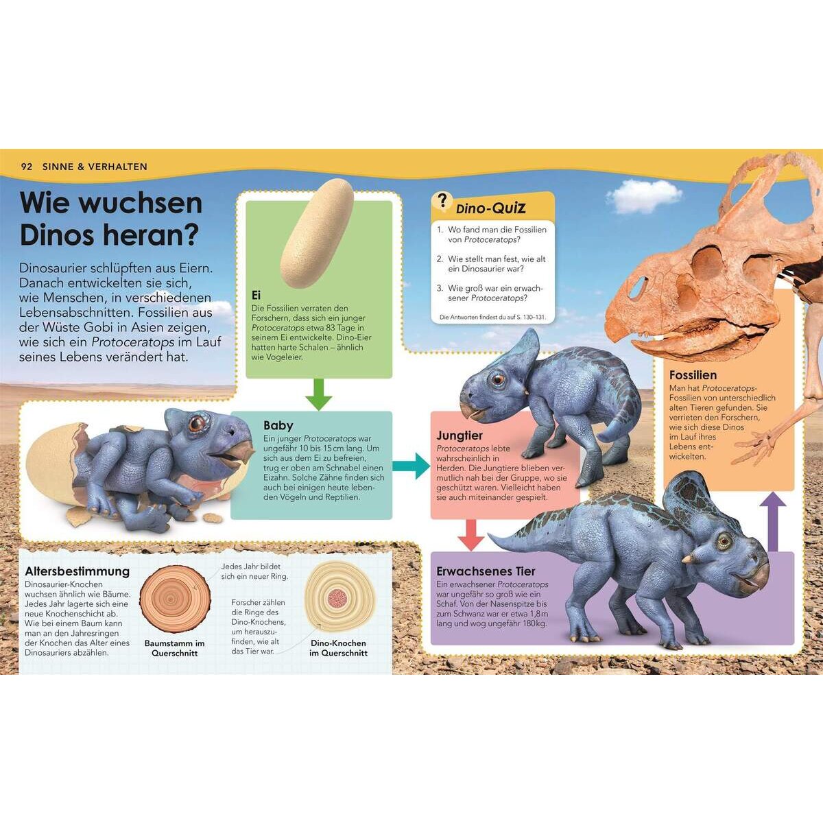 DK Verlag Buch Weshalb? Deshalb! Dinos Das Frage-und-Antwort-Lexikon