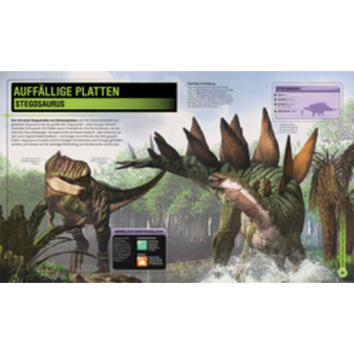 DK Verlag Super-Dinos