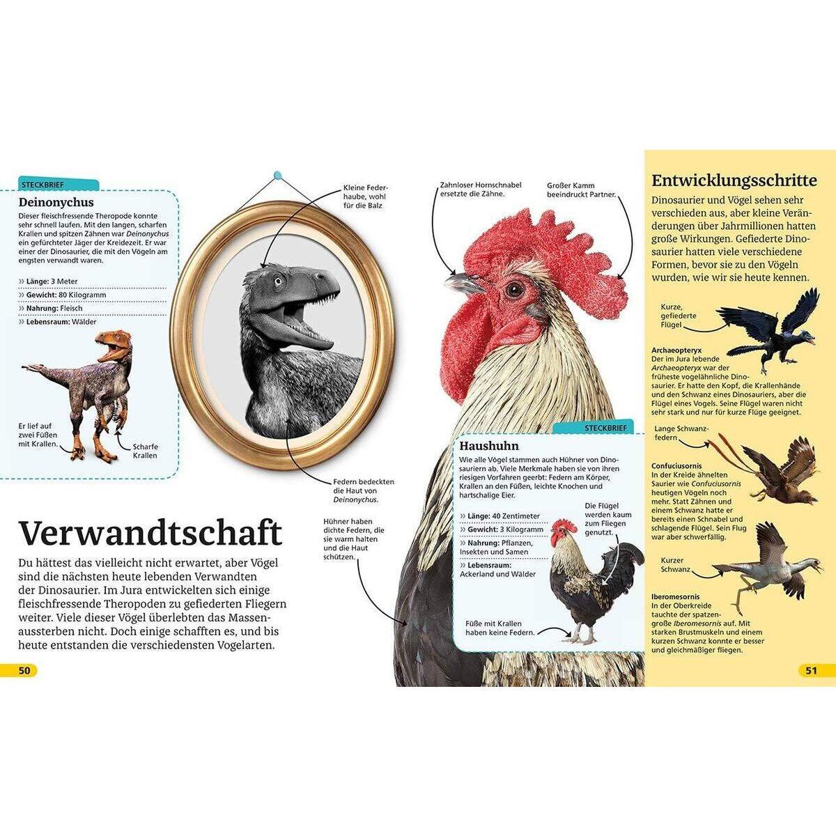 dk-verlag-superchecker-dinosaurier-was-22FFAE052.jpg