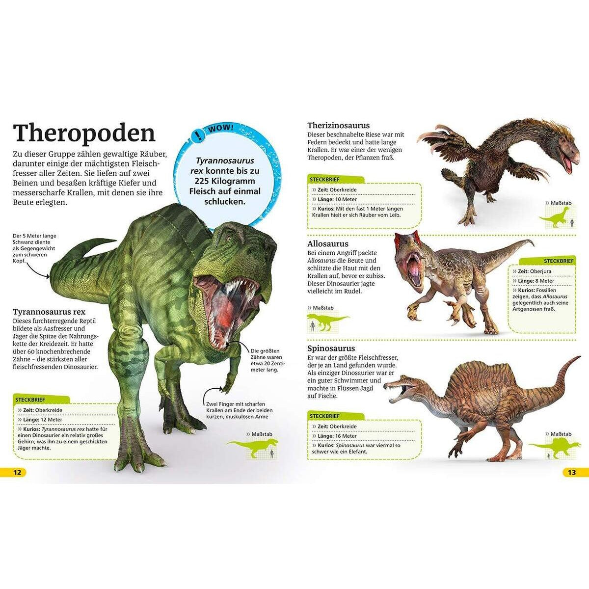 dk-verlag-superchecker-dinosaurier-was-22FFAE053.jpg