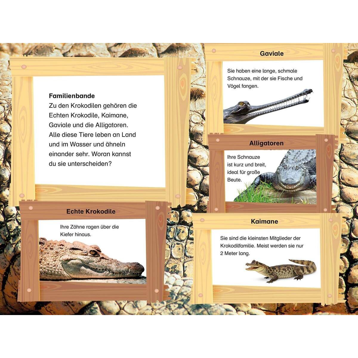 DK Verlag Superleser 2. Lesestufe - Krokodil Abenteuer am Fluss