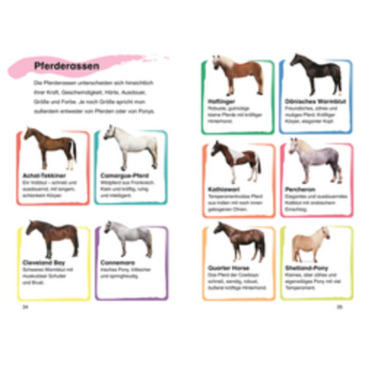 DK Verlag SUPERLESER! Emma und der Pony-Klub