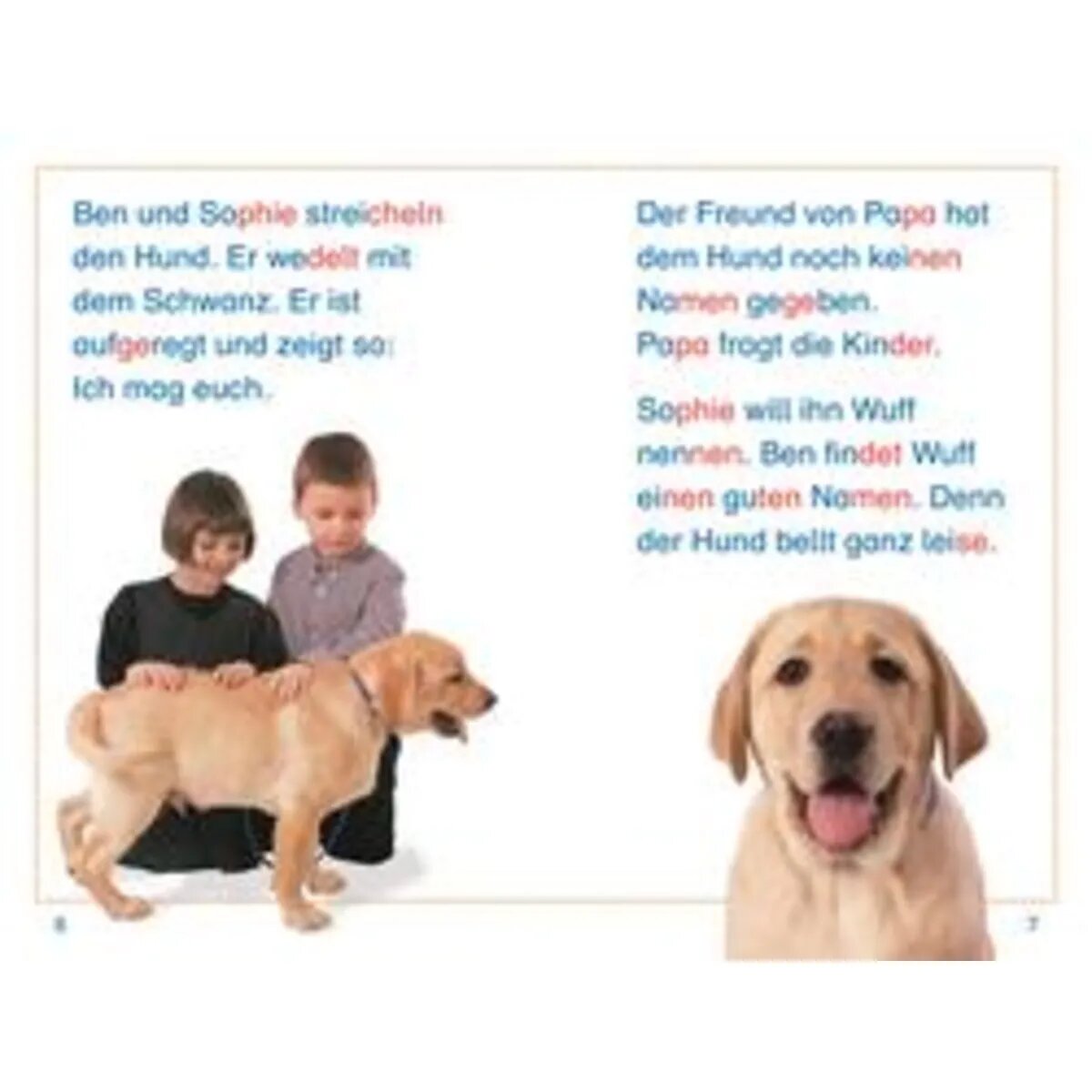 dk-verlag-superleser-willkommen-kleiner-85E7088D2.jpg
