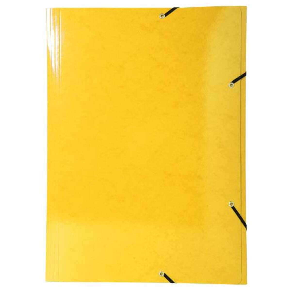 exacompta-sammelmappe-iderama-600gm2-a3-3079F5025.jpg