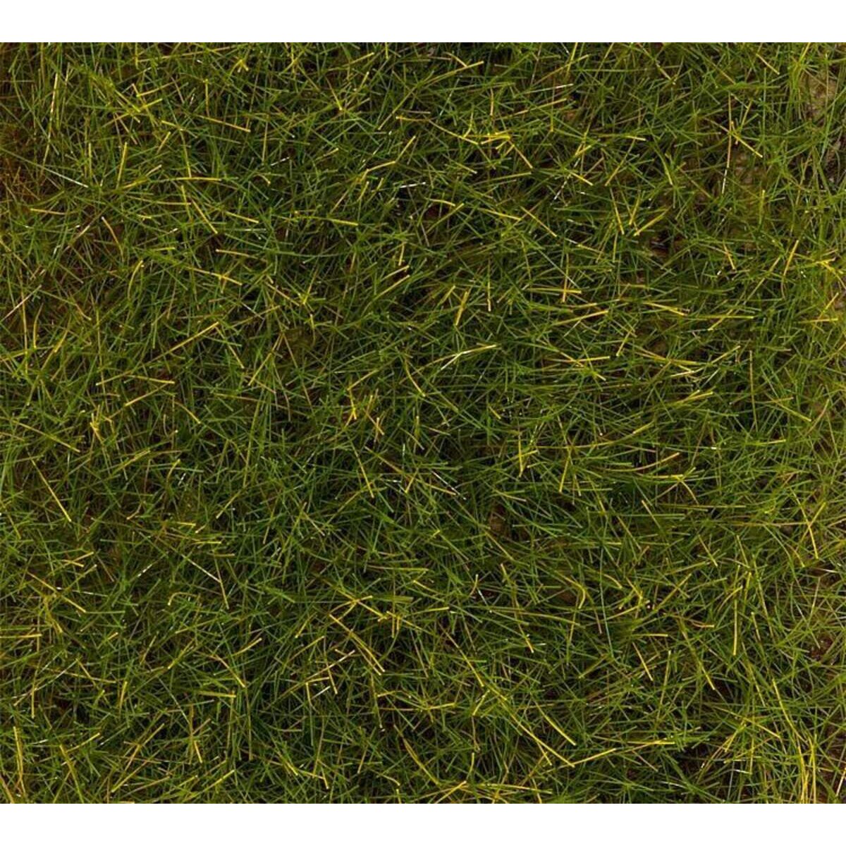 faller-premium-streufasern-sommerwiese-30g-DEFEF75F1.jpg