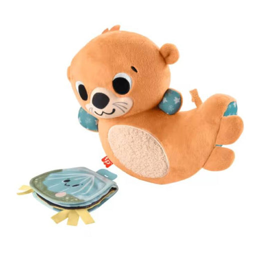 fisher-price-2-in-1-352564431.jpg
