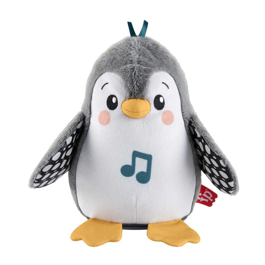 fisher-price-flatter--wackel-8507ED141.jpg