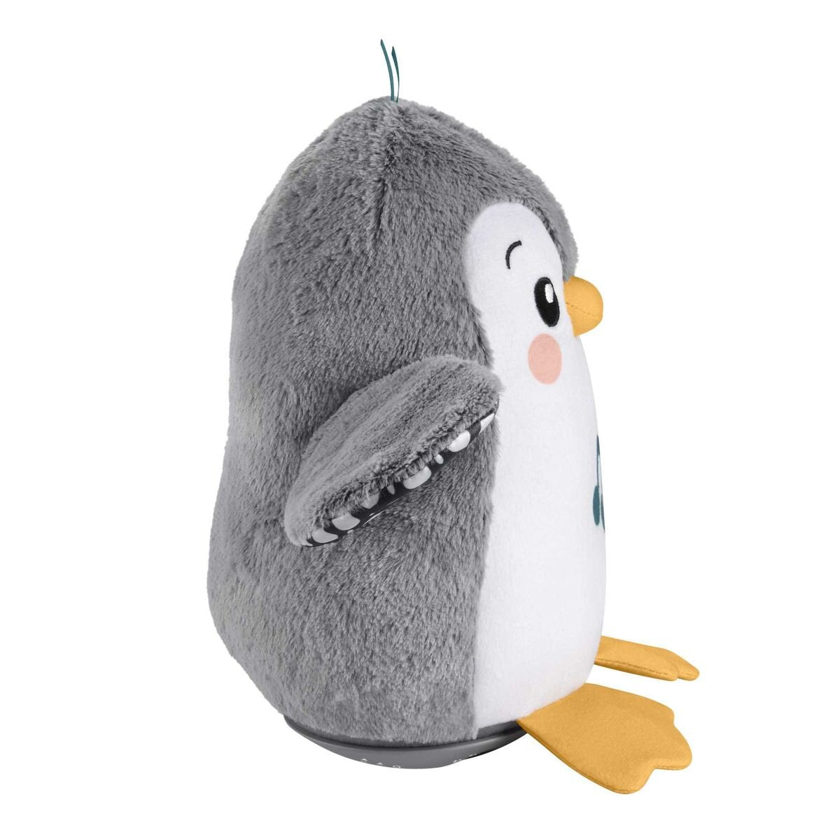 fisher-price-flatter--wackel-8507ED143.jpg
