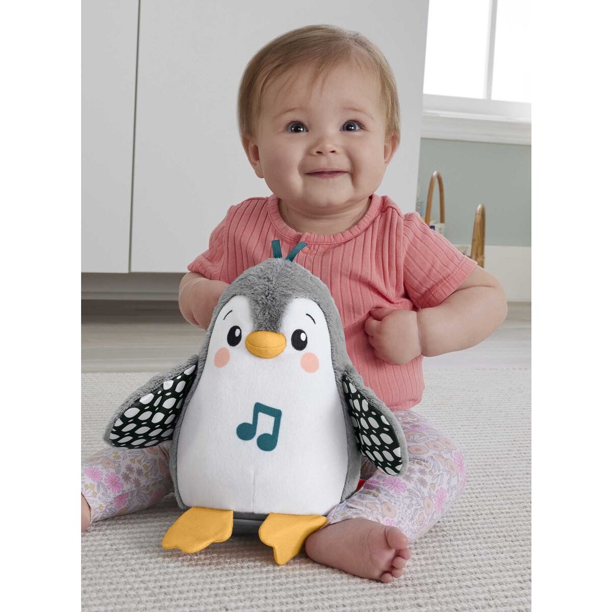 fisher-price-flatter--wackel-8507ED144.jpg