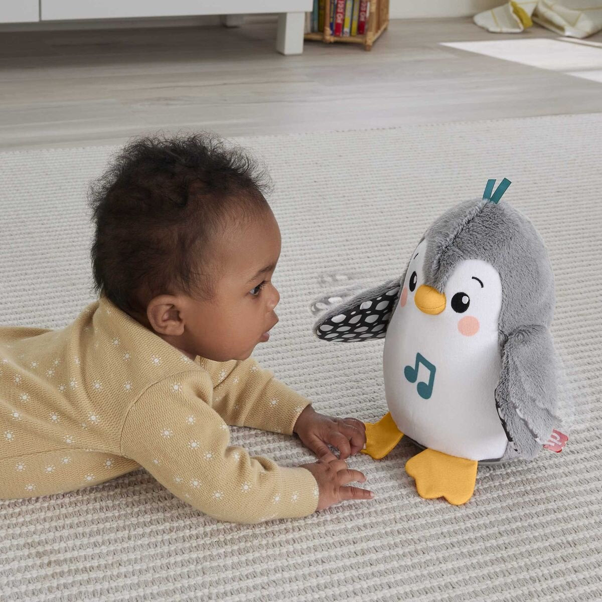 fisher-price-flatter--wackel-8507ED145.jpg