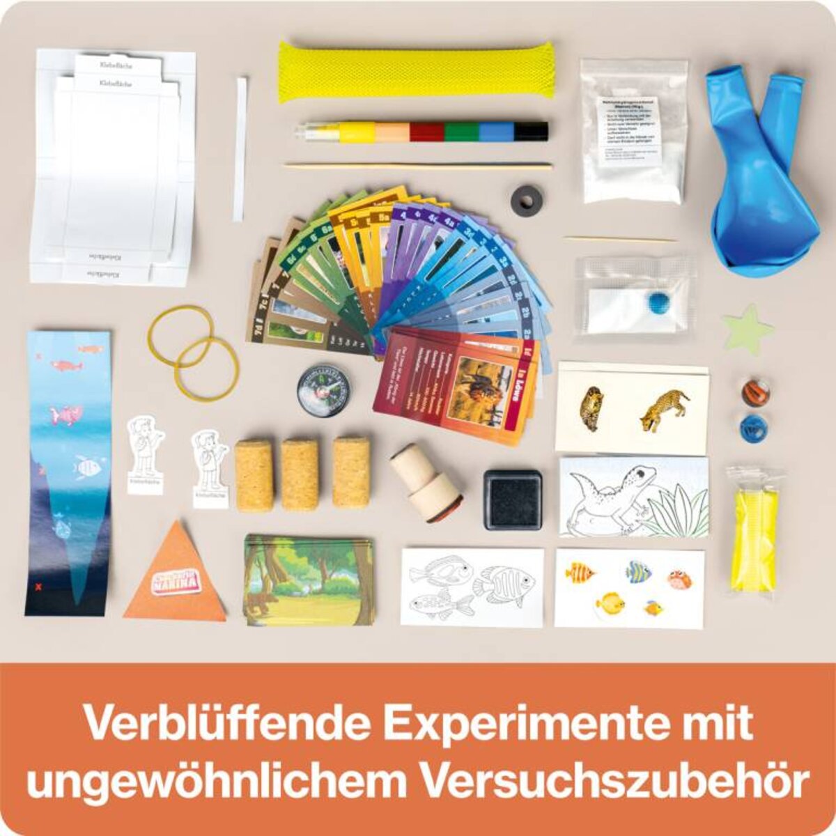 Franzis Adventskalender CheXperimente mit Checkerin Marina zu Natur, Technik und Kulturen