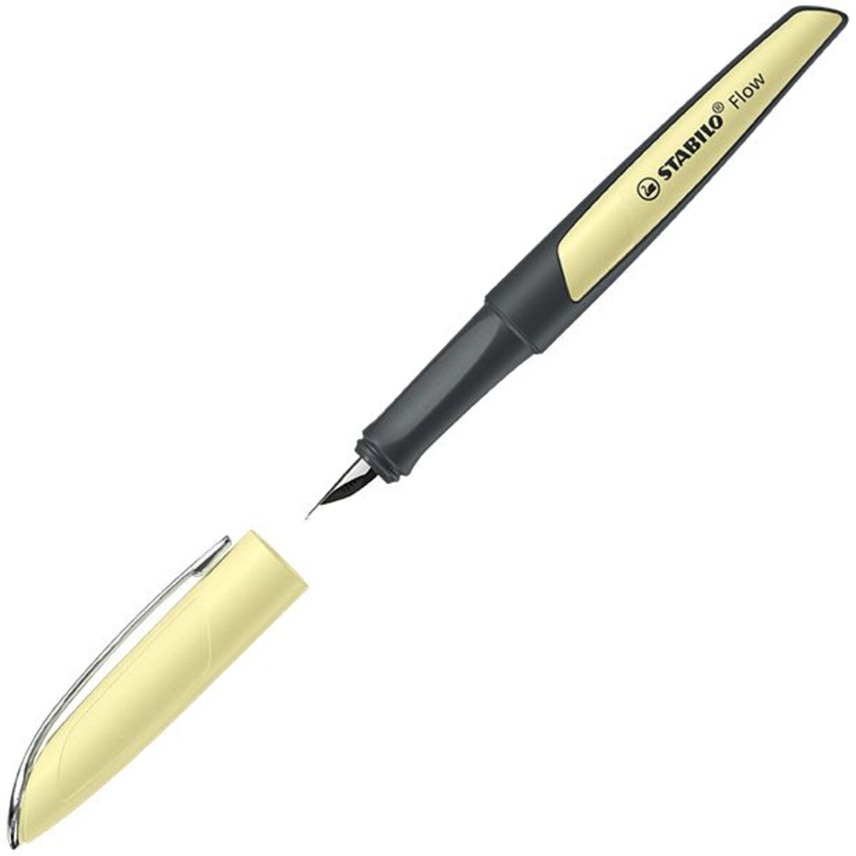 fueller---stabilo-flow-13D1D6B92.jpg