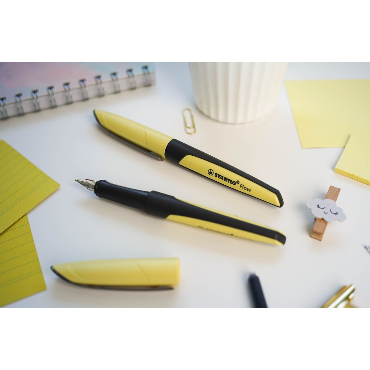 fueller---stabilo-flow-13D1D6B96.jpg