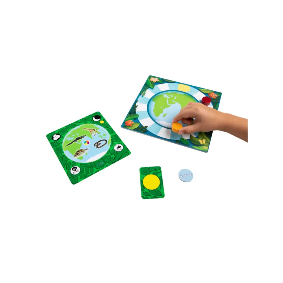 haba-tiere-der-welt-wissensspiel-CCBEB2775.jpg