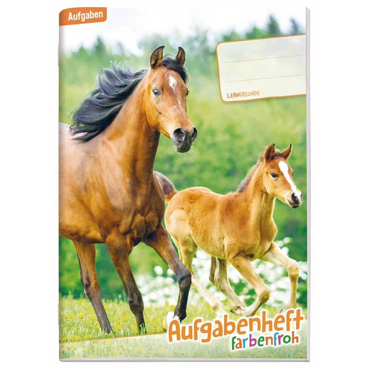 Häfft Verlag Aufgabenheft Farbenfroh mini A6, 1 Schuljahr, 1 Stück, 4-fach sortiert