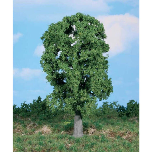 Heki 1987 1 Eiche 20 cm