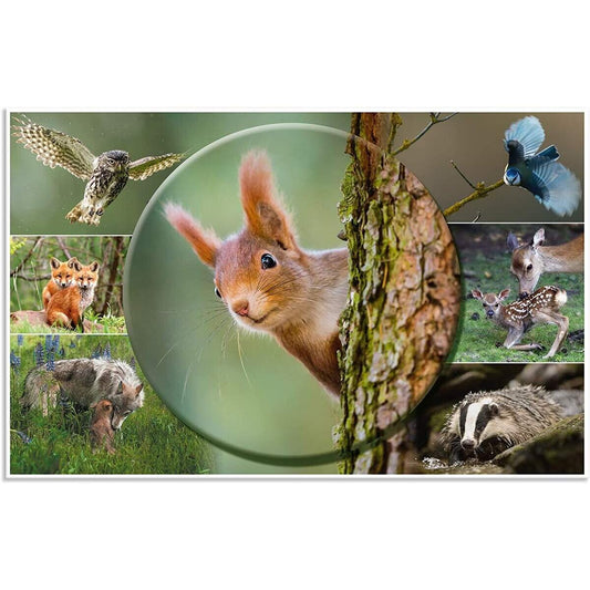 herma-19647-schreibtischunterlage-tierwelten-waldtiere-E3A02ABB1.jpg