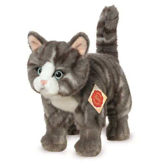 hermann-teddy-91822-katze-stehend-423F19621.jpg