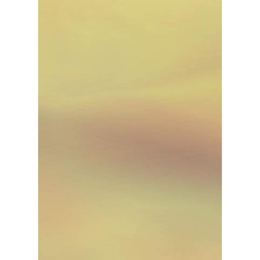 heyda-holografiekarton-gold-50-x-24AFFE5C1.jpg