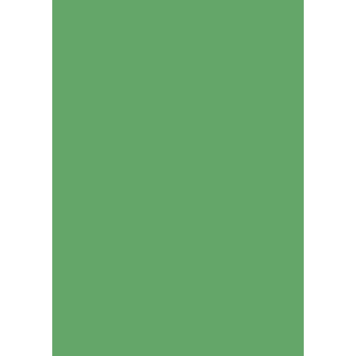 heyda-krepp-papier-mittelgruen-50-1C4B0D721.jpg